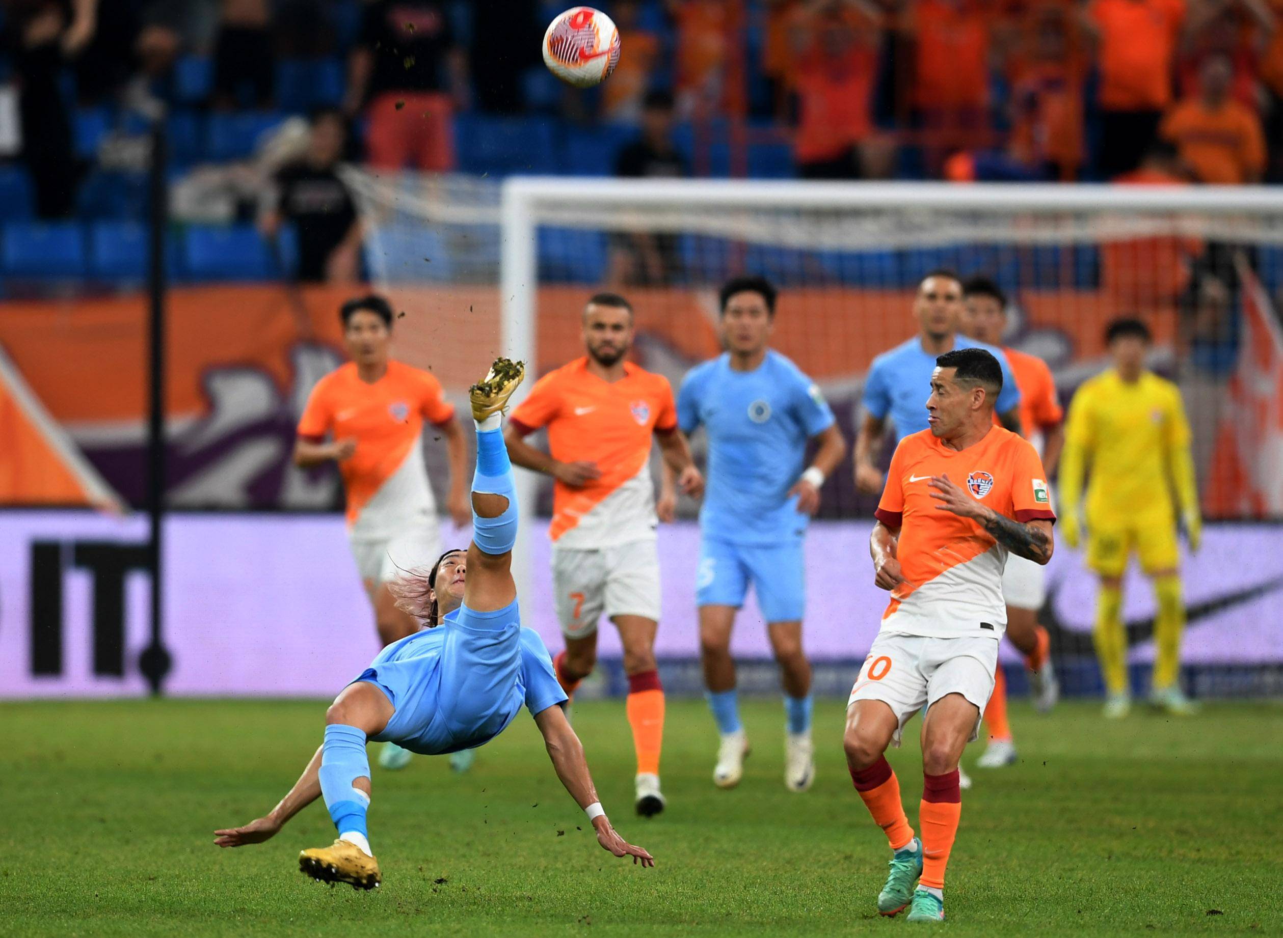 不仅能在对 不仅能在对